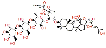 Holothurin A5